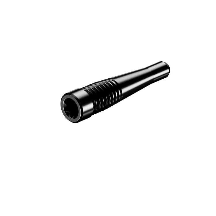 INTRA-LOK SCREW
