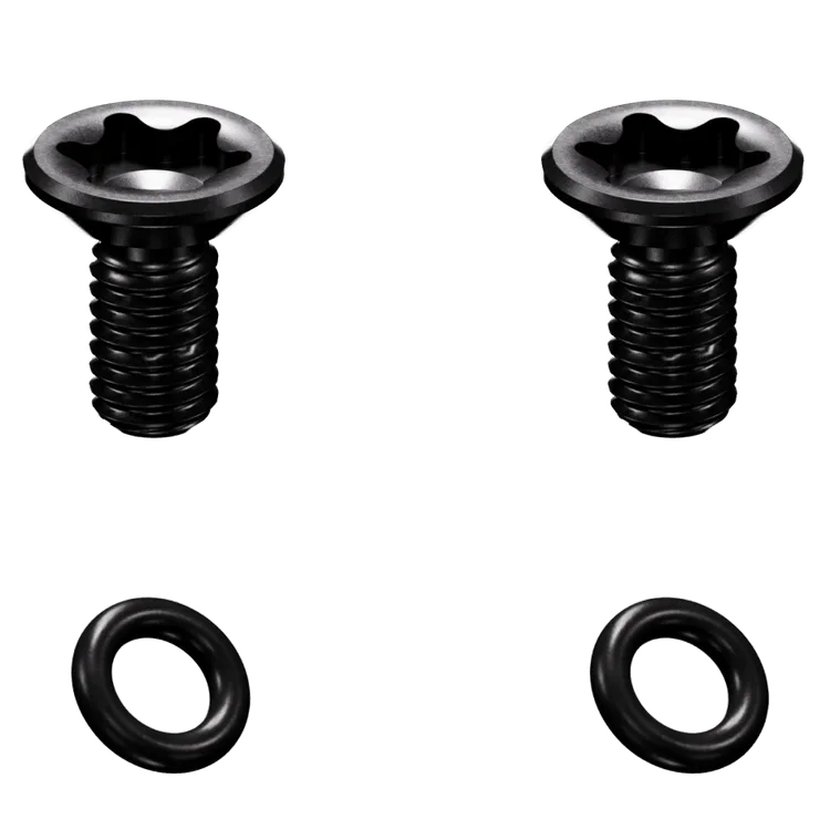 GUARDIAN PLATE SCREWS