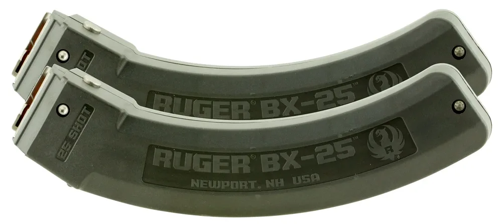 RUG MAG 10/22 22LR 25RD 2-PACK